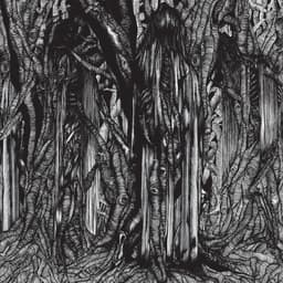 Release Cover sunn O))) - Black One