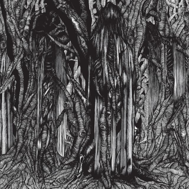 Release Cover sunn O))) - Black One