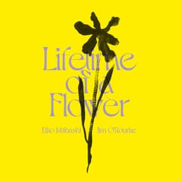 Release Cover Eiko Ishibashi, Jim O'Rourke - Lifetime of a Flower
