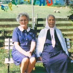 Release Cover Dauwd - Theory of Colours
