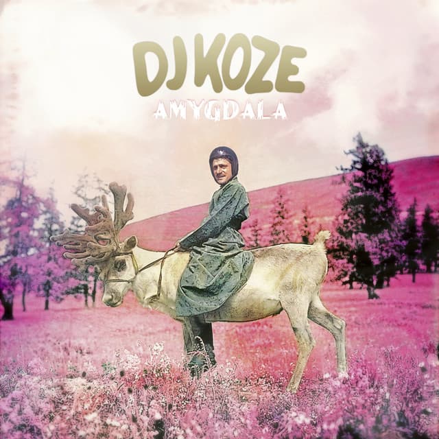 Release Cover DJ Koze - Amygdala (Bonus Track Version)