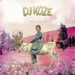 Release Cover DJ Koze - Amygdala (Bonus Track Version)
