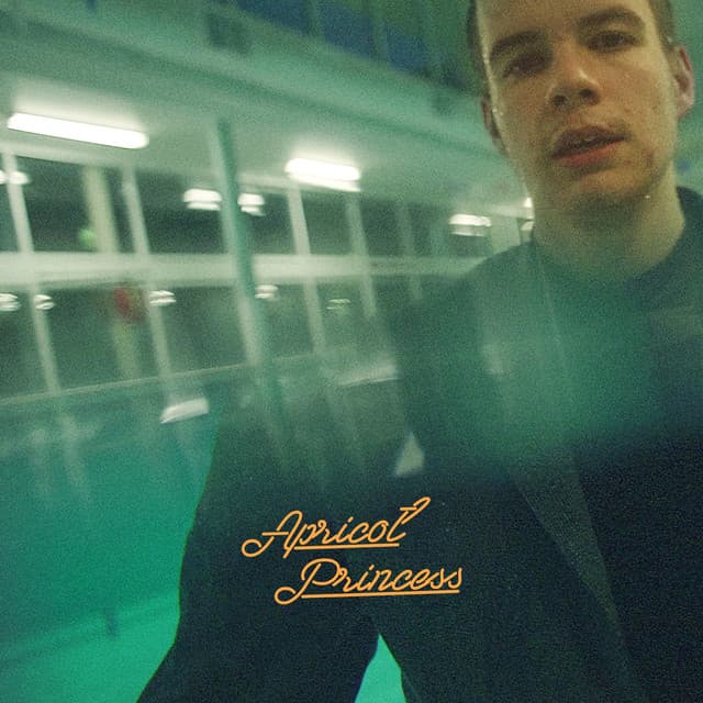 Release Cover Rex Orange County - Apricot Princess