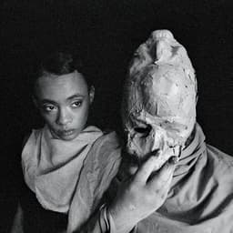 Release Cover Protomartyr - Formal Growth In The Desert