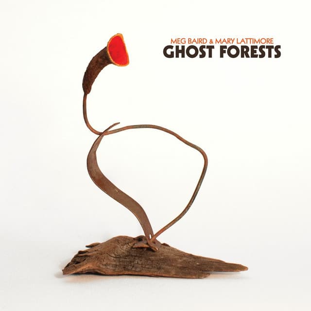 Release Cover Meg Baird, Mary Lattimore - Ghost Forests