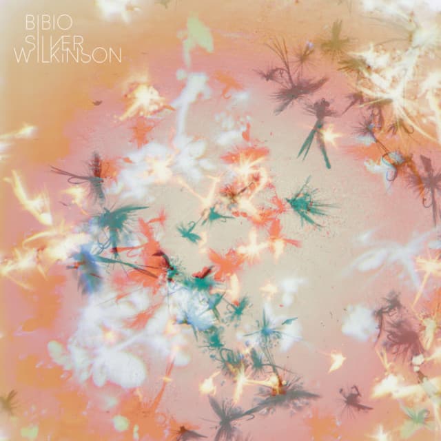 Release Cover Bibio - Silver Wilkinson
