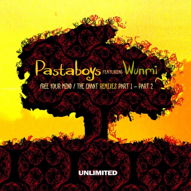 Release Cover Pastaboys, Wunmi - Free Your Mind / The Chant Remixes Part 1 & 2