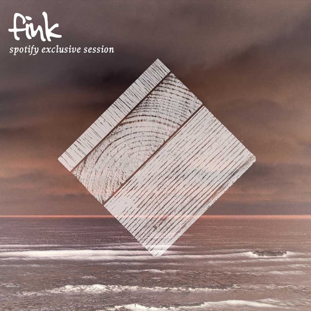 Release Cover Fink - Fink Spotify Exclusive Session