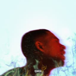Release Cover Arin Ray - Platinum Fire (Deluxe)
