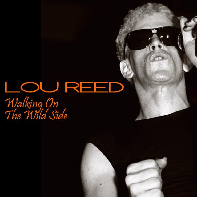 Release Cover Lou Reed - Walking On The Wild Side