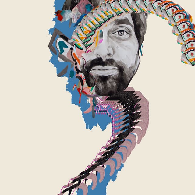 Release Cover Animal Collective - Painting With
