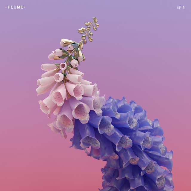 Release Cover Flume - Skin