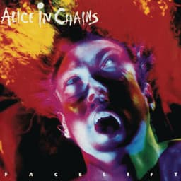 Release Cover Alice In Chains - Facelift
