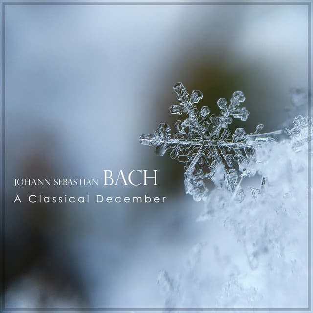 Release Cover Johann Sebastian Bach - A Classical December: Bach