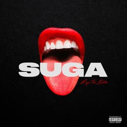 Release Cover Megan Thee Stallion - Suga