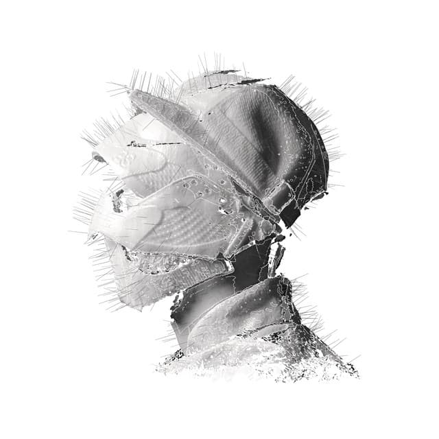 Release Cover Woodkid - The Golden Age