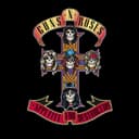Release Cover Guns N' Roses - Appetite For Destruction