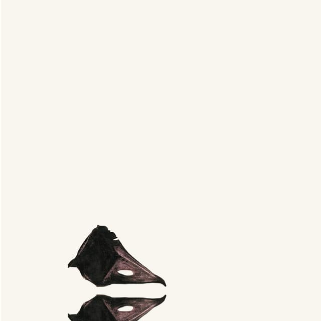 Release Cover Coil - The New Backwards