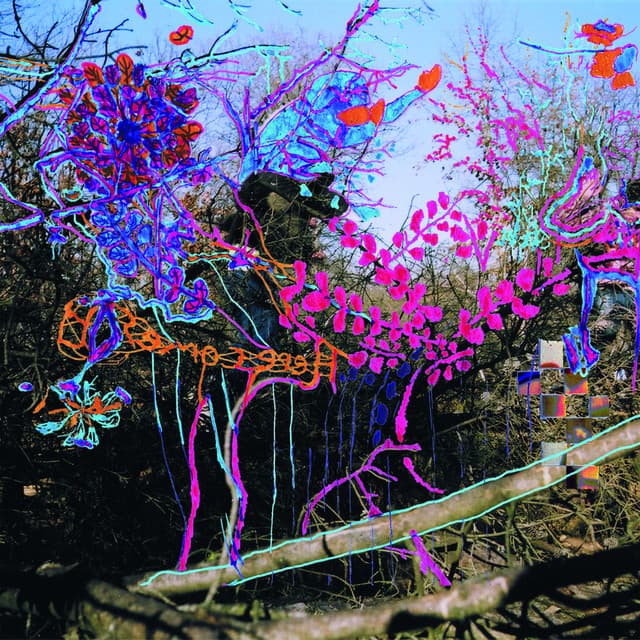 Release Cover Animal Collective - Ark