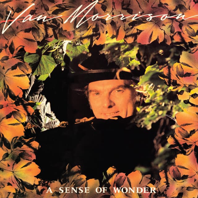 Release Cover Van Morrison - A Sense of Wonder