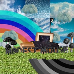 Release Cover Modest Mouse - The Golden Casket