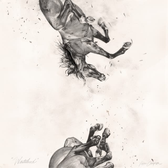 Release Cover Hippo Campus - Wasteland