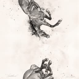 Release Cover Hippo Campus - Wasteland