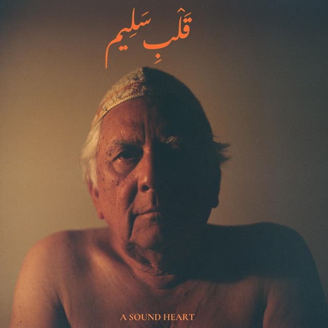 Release Cover Jaubi - A Sound Heart