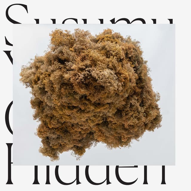 Release Cover Susumu Yokota - Cloud Hidden