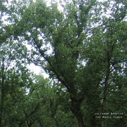 Release Cover Julianna Barwick - The Magic Place