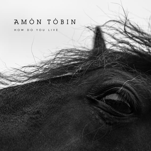 Release Cover Amon Tobin - How Do You Live