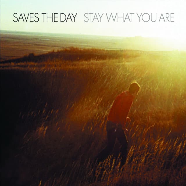 Release Cover Saves The Day - Stay What You Are