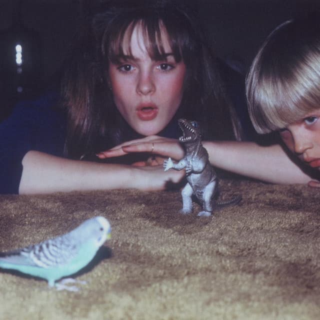 Release Cover Big Thief - Masterpiece