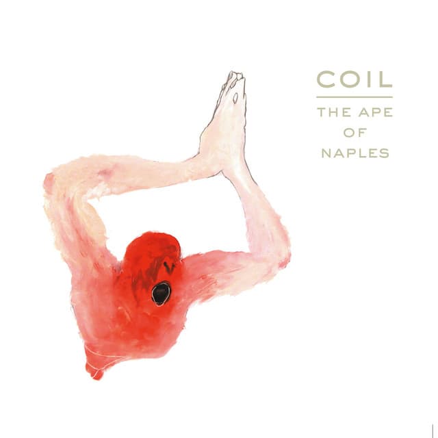 Release Cover Coil - The Ape of Naples