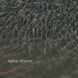 Release Cover Fennesz - Agora