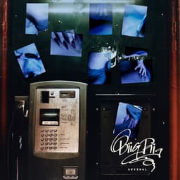 Release Cover Biig Piig - Decimal