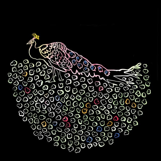 Release Cover Iron & Wine - Morning Becomes Eclectic