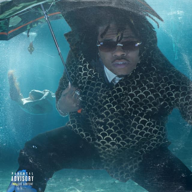 Release Cover Gunna - Drip or Drown 2