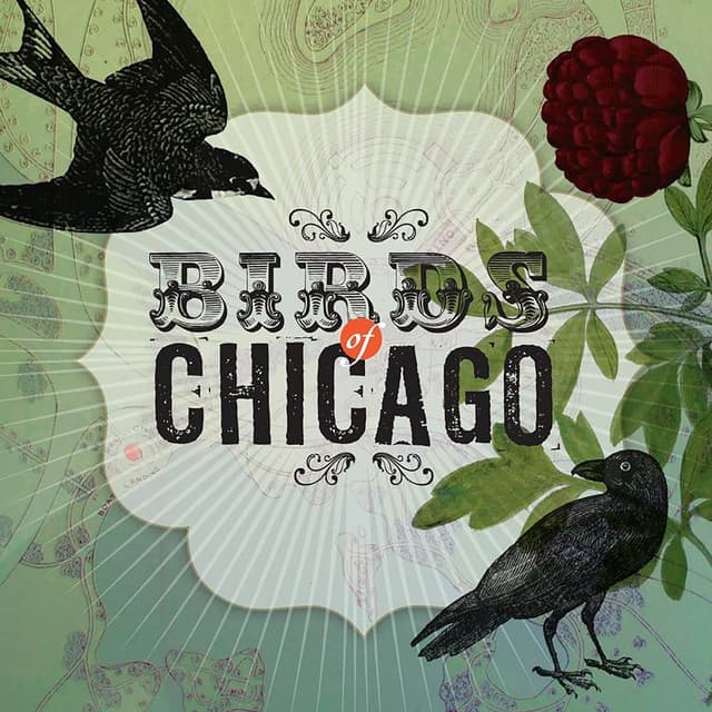 Release Cover Birds of Chicago, Allison Russell - Birds Of Chicago