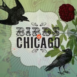 Release Cover Birds of Chicago, Allison Russell - Birds Of Chicago