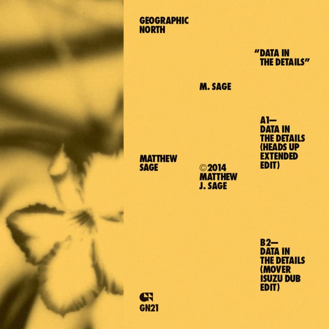 Release Cover M. Sage - Data in the Details