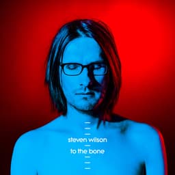 Release Cover Steven Wilson - To The Bone