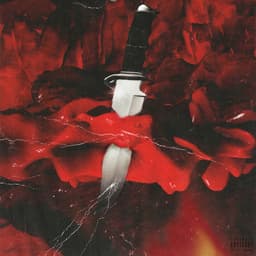 Release Cover 21 Savage, Metro Boomin - Savage Mode