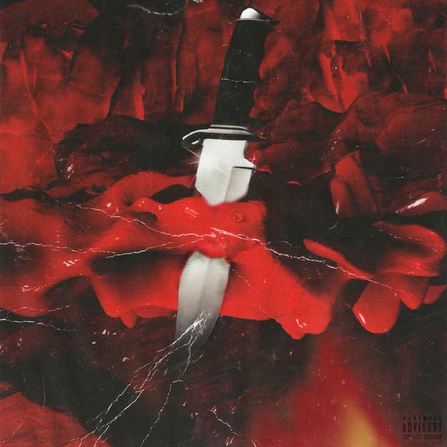 Release Cover 21 Savage, Metro Boomin - Savage Mode