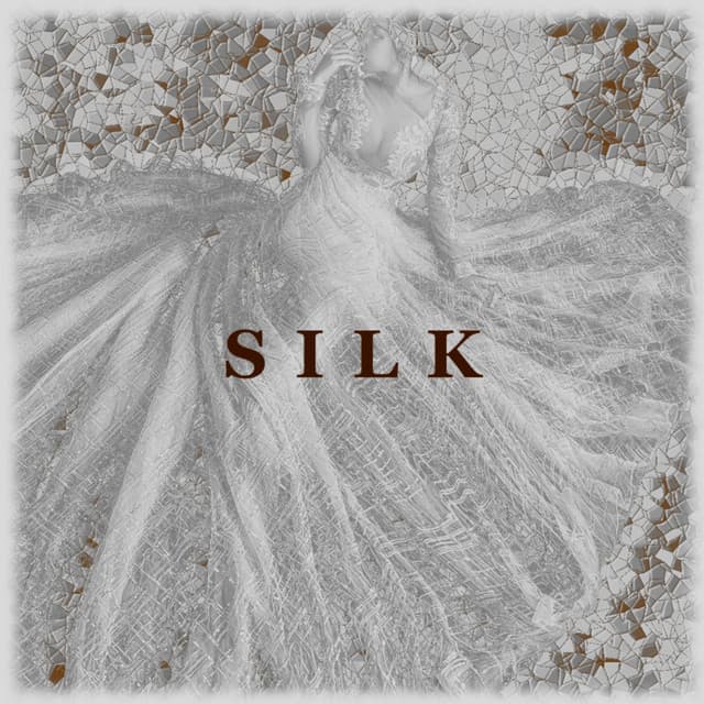 Release Cover Elijah Blond - Silk
