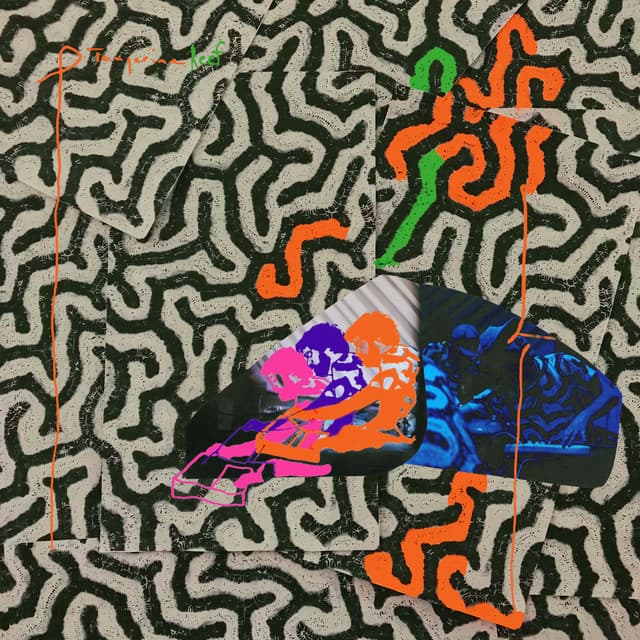 Release Cover Animal Collective - Tangerine Reef