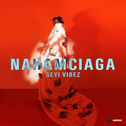 Release Cover Seyi Vibez - NAHAMciaga