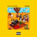 Release Cover Kota the Friend - Protea