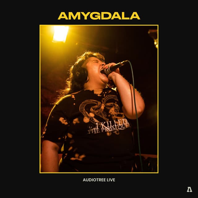 Release Cover Amygdala, Audiotree - Amygdala on Audiotree Live