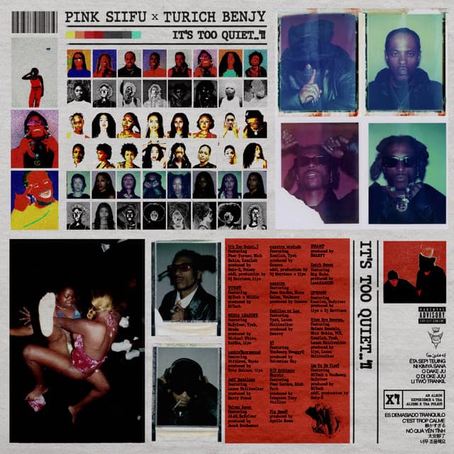 Release Cover Pink Siifu, Turich Benjy - IT'S TOO QUIET..'!!